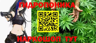 гидропоника Можга