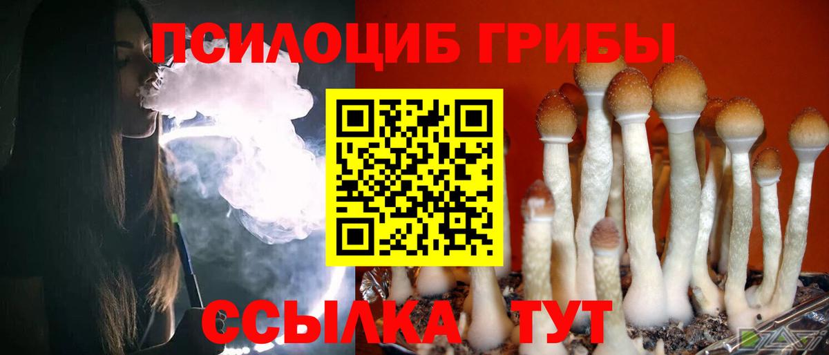 Рыбинск  Галлюциногенные грибы ЛСД  Вход с VPN 